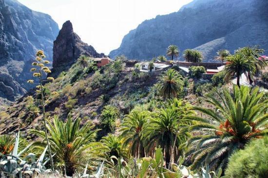 Ferienwohnung Marody Tenerife House El Médano Exterior foto